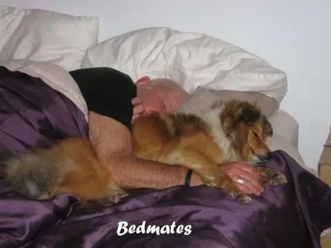 Bedmates