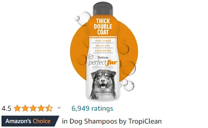 Best Dog Shampoo for Shelties