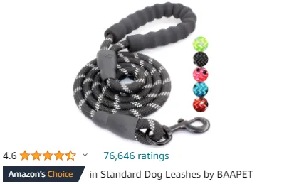 Best Nylon Dog Leash