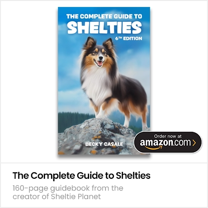 The Complete Guide to Shelties