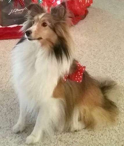 This is Daisy Mae This is Daisy Mae