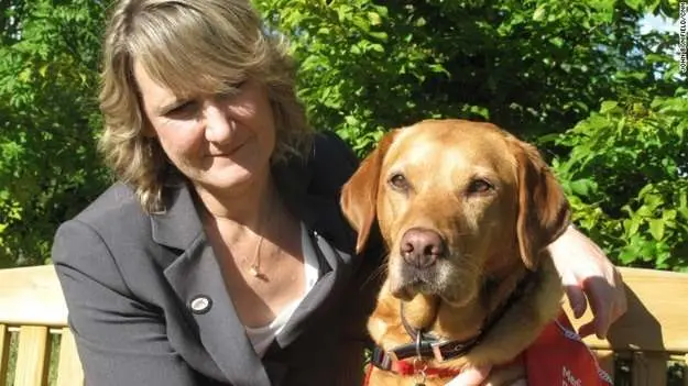 Daisy the Labrador detected breast cancer in her owner Claire Guest