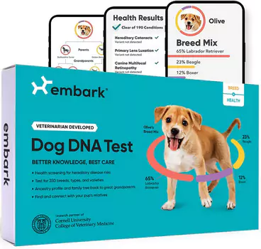 Dog DNA Tests can identify 210+ genetic health issues in Shelties