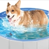 Set up a dog paddling pool filled with cool water and train your Sheltie to use it