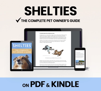 Download Shelties: The Complete Pet Owner's Guide
