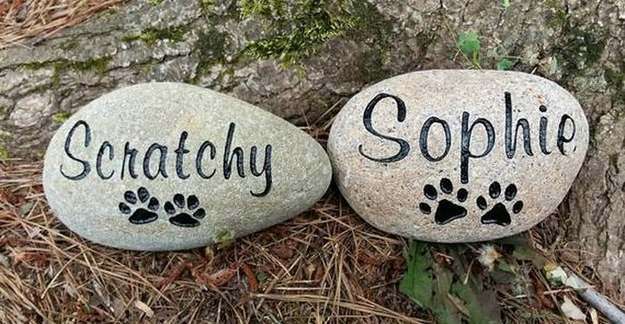 Hold a Memorial Service for Your Sheltie Hold a Memorial Service for Your Sheltie
