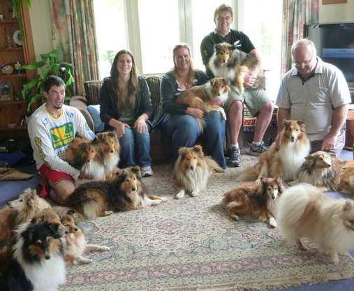 Photos from our Sheltie Meetup (Auckland) Photos from our Sheltie Meetup (Auckland)