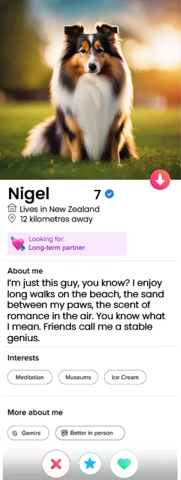 The Sheltie dog Tinder profile