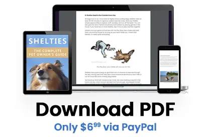 Download Shelties: The Complete Pet Owner's Guide as PDF ebook