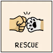 Sheltie Rescue