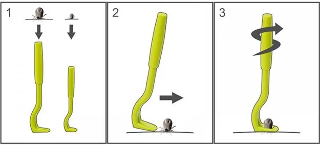 Tick removal tool