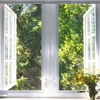 Ensure your house has good airflow throughout the day by opening lots of doors and windows