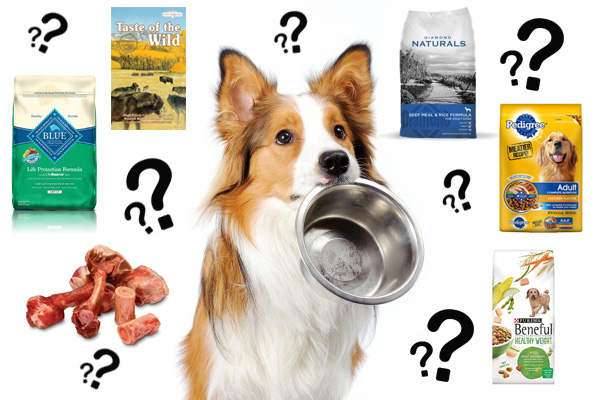 best dog food kibble brands
