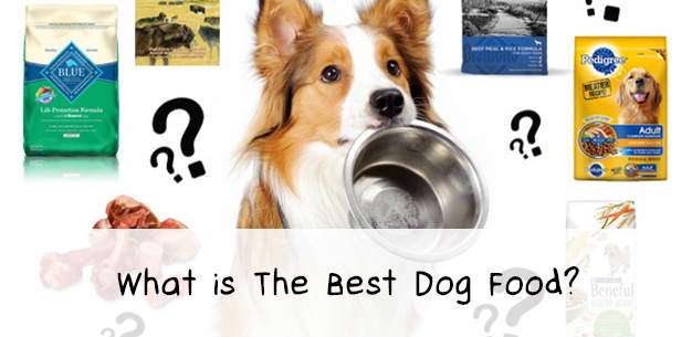 good quality dog food